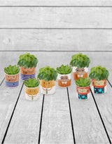 Set of 8 (4 Small, 4 Large) Ceramic People Pots - MCP21