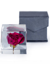 Square Acrylic Glass Real Rose Paperweight with Gift Box - GW112