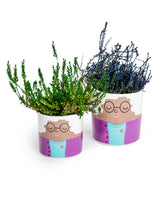 Set of 8 (4 Small, 4 Large) Ceramic People Pots - MCP24