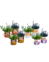 Set of 8 (4 Small, 4 Large) Ceramic People Pots - MCP24