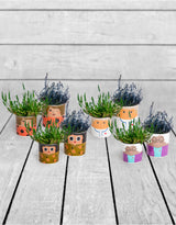 Set of 8 (4 Small, 4 Large) Ceramic People Pots - MCP24
