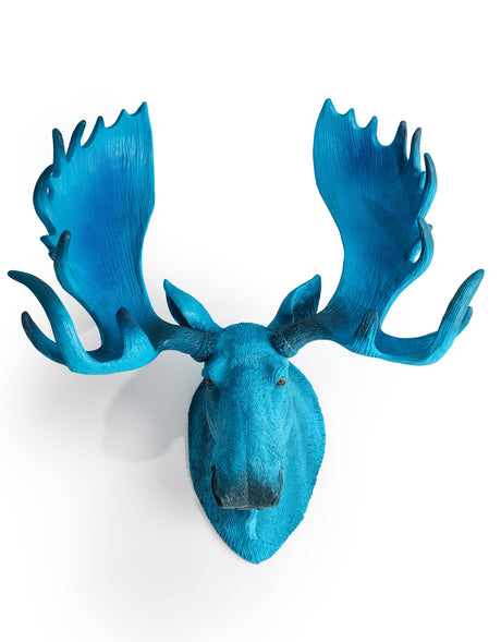 Electric Blue Moose Wall Head - BD72