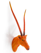 Atomic Orange Antelope Wall Head - BD74