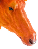 Atomic Orange Antelope Wall Head - BD74