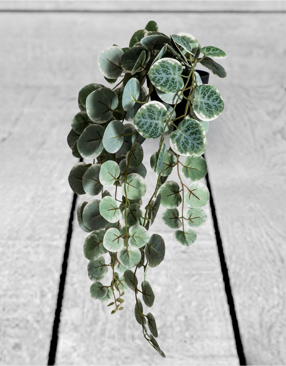 Ornamental Hanging "Chain of Hearts" in Black Pot (to be bought in qtys of 12) - AF88