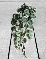 Ornamental Hanging "Chain of Hearts" in Black Pot (to be bought in qtys of 12) - AF88