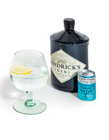 Set of 6 Recycled Glass Gin Goblets - GW137