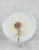 Large Round Acrylic Glass Real Dandelion Paperweight with Gift Box - GW138