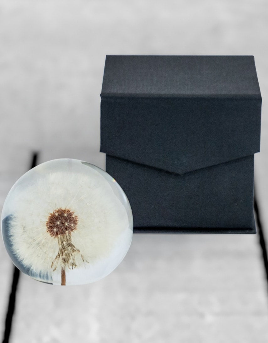 Large Round Acrylic Glass Real Dandelion Paperweight with Gift Box - GW138