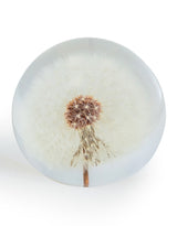 Large Round Acrylic Glass Real Dandelion Paperweight with Gift Box - GW138