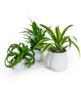 Matt White Medium Booty Flower Pot/Storage Jar - BBR29