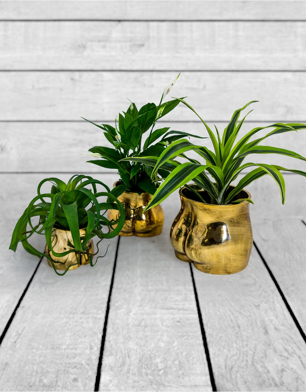 Antique Gold Large Booty Flower Pot/Storage Jar - BBR33