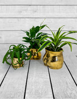 Antique Gold Large Booty Flower Pot/Storage Jar - BBR33