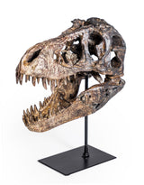 Large T-Rex Skull on Stand Table Ornament - TPR85