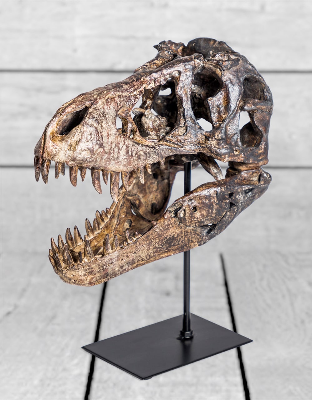 Large T-Rex Skull on Stand Table Ornament - TPR85