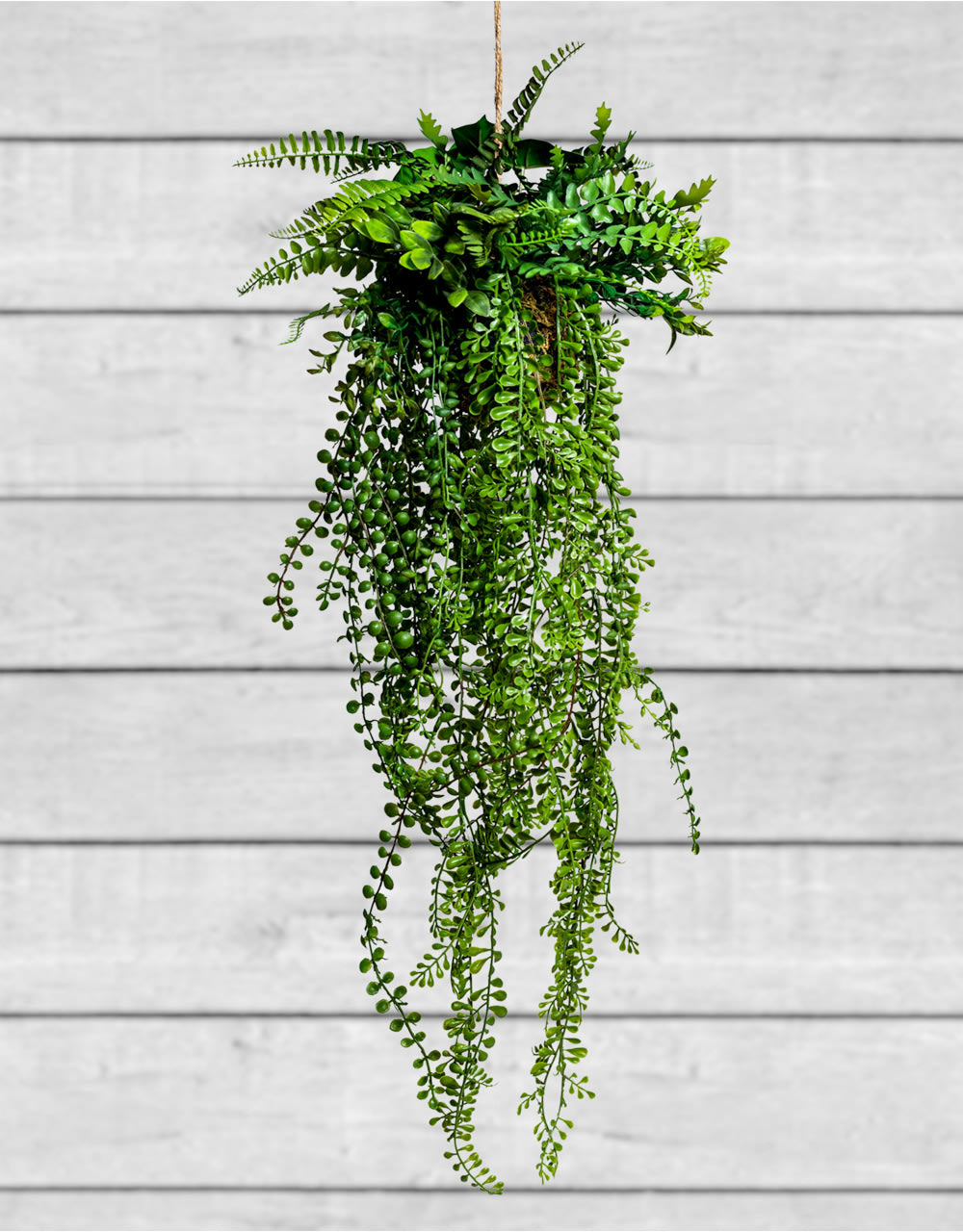 Ornamental Hanging Airplant Vine Arrangement (to be bought in qtys of 6) - AF86