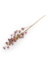 Japanese Prickly Ash Stem (to be bought in qtys of 36) - AF102
