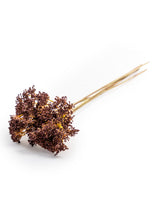 5 Stem Bunch of Cow Parsley - Burgundy (to be bought in qtys of 12) - AF106