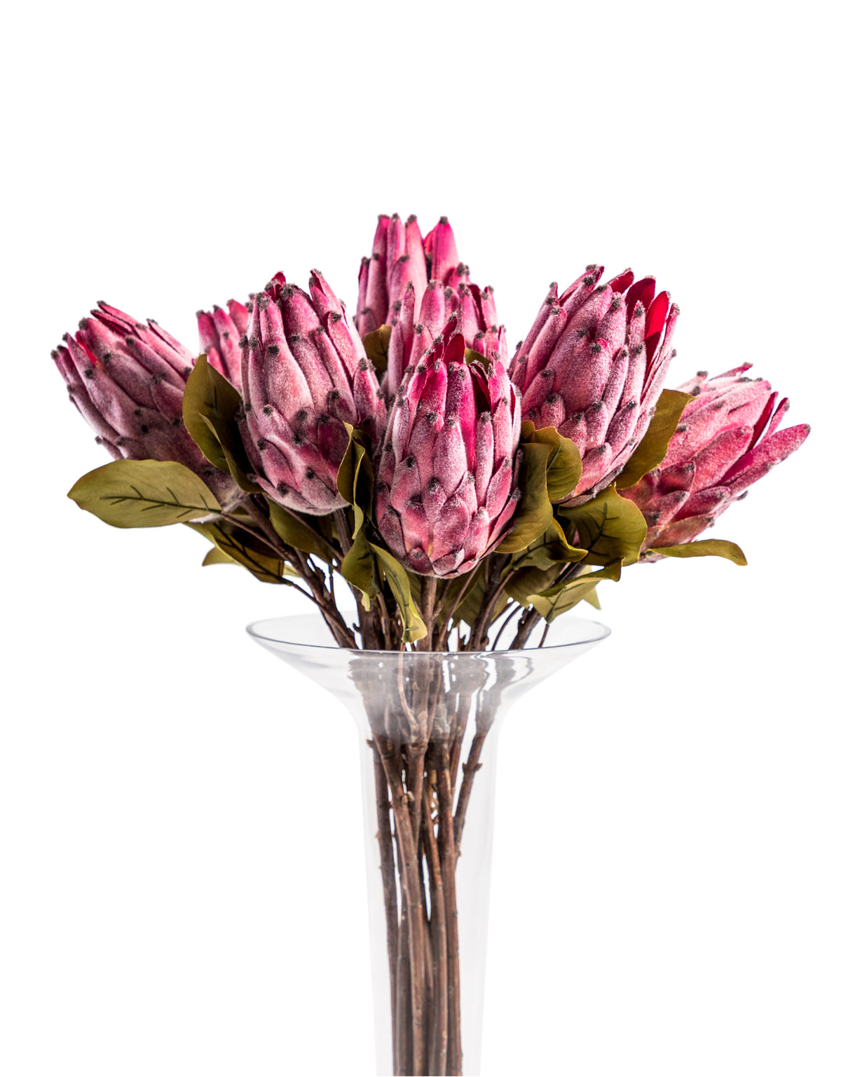 Single Protea Stem (to be bought in qtys of 12) - AF110