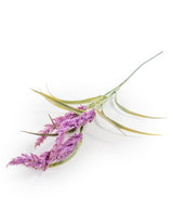 Single Reed Stem (to be bought in qtys of 24) - AF116