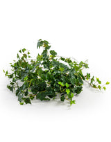 Trailing Ivy Branch - AF118