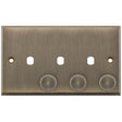 Selectric 7M-Pro Antique Brass 2 Gang Triple Aperture Dimmer Plate with Matching Knobs