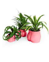 Pink Small Booty Flower Pot/Storage Jar - BBR46