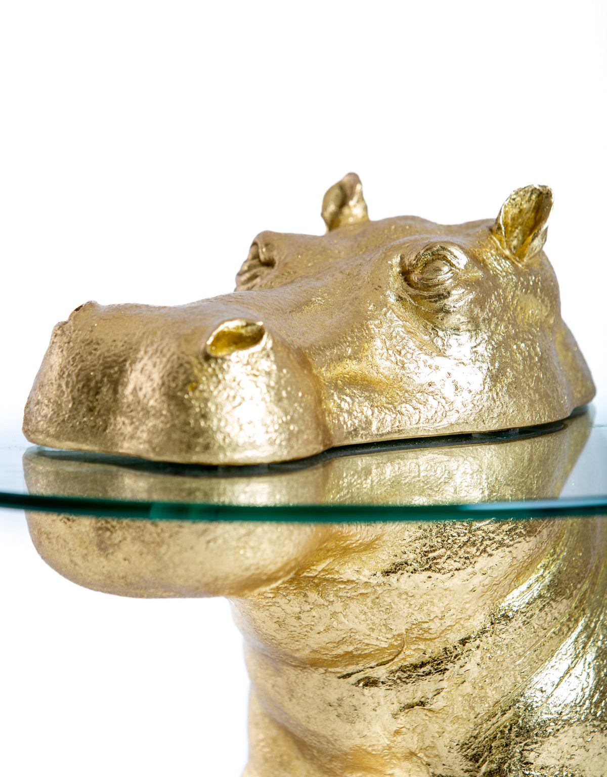 Large Gold Hippo Glass Top Side / Coffee Table - DVM39