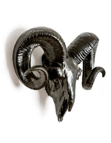 Matt Black Ram Skull Wall Head - BD171