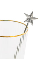 Set of 4 Nickel Star Drinks Stirrers - FMH28