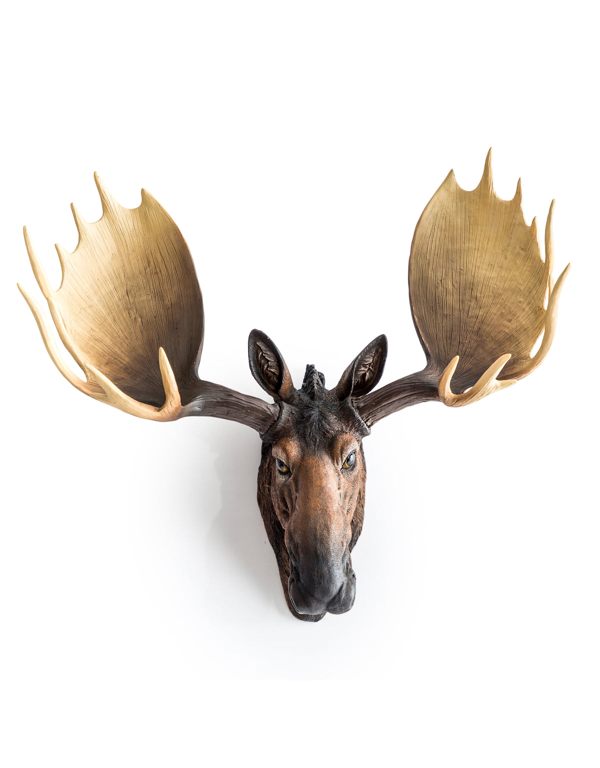 Large Moose Wall Head - BD176