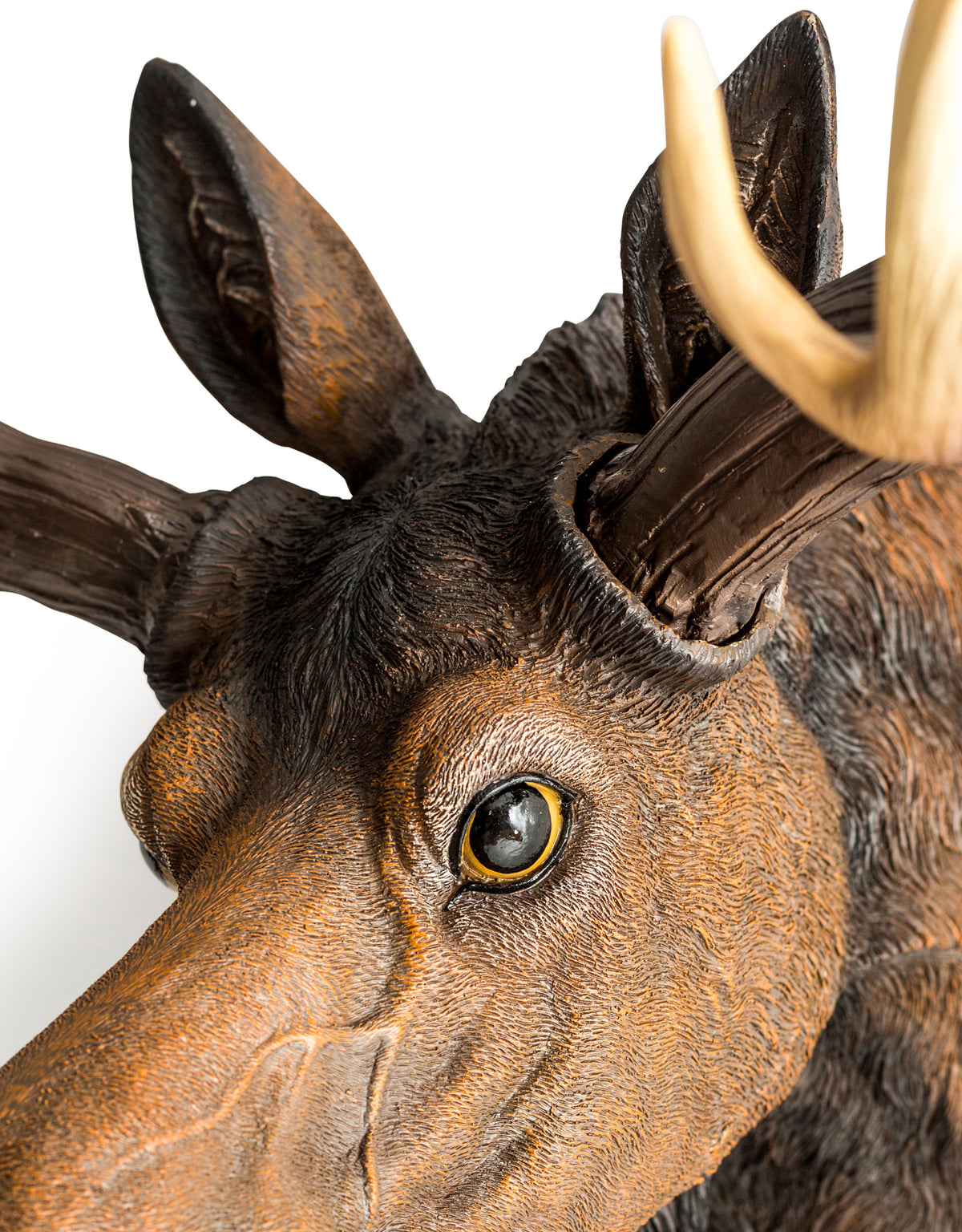 Large Moose Wall Head - BD176