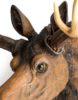 Large Moose Wall Head - BD176