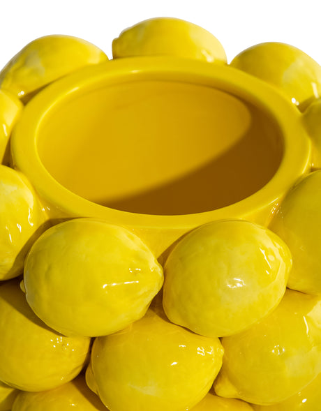 Ceramic Multi Lemon Bowl / Vase - JFC10