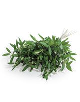 Single Olive Branch Stem (to be bought in qtys of 24) - AF124