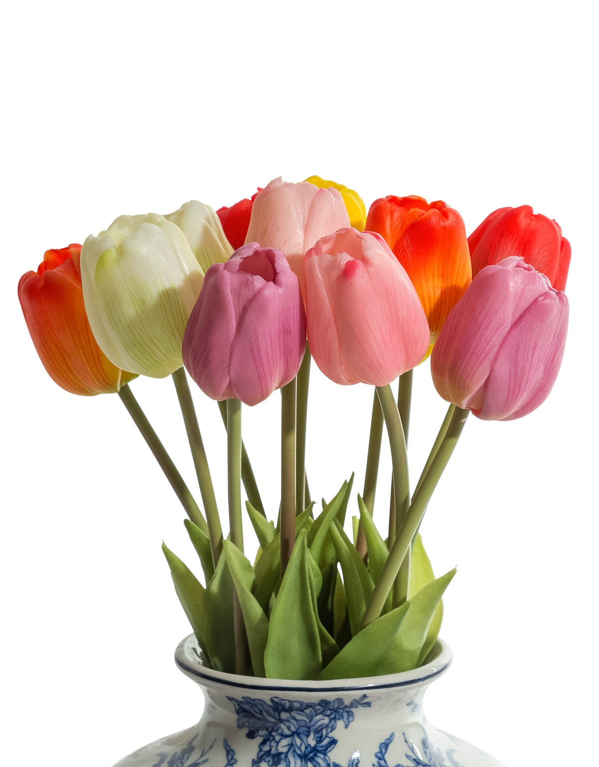 Assorted Mixed Colour Tulip Stems (to be bought in bunches of 24) - AF128