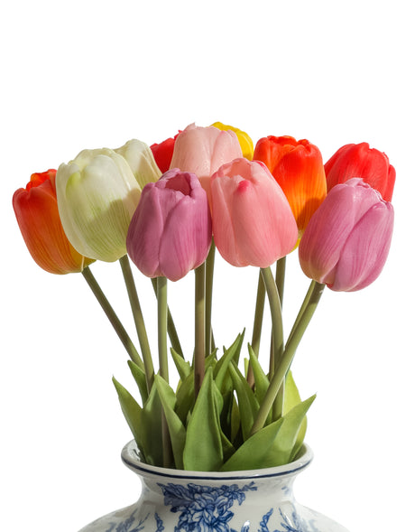 Assorted Mixed Colour Tulip Stems (to be bought in bunches of 24) - AF128