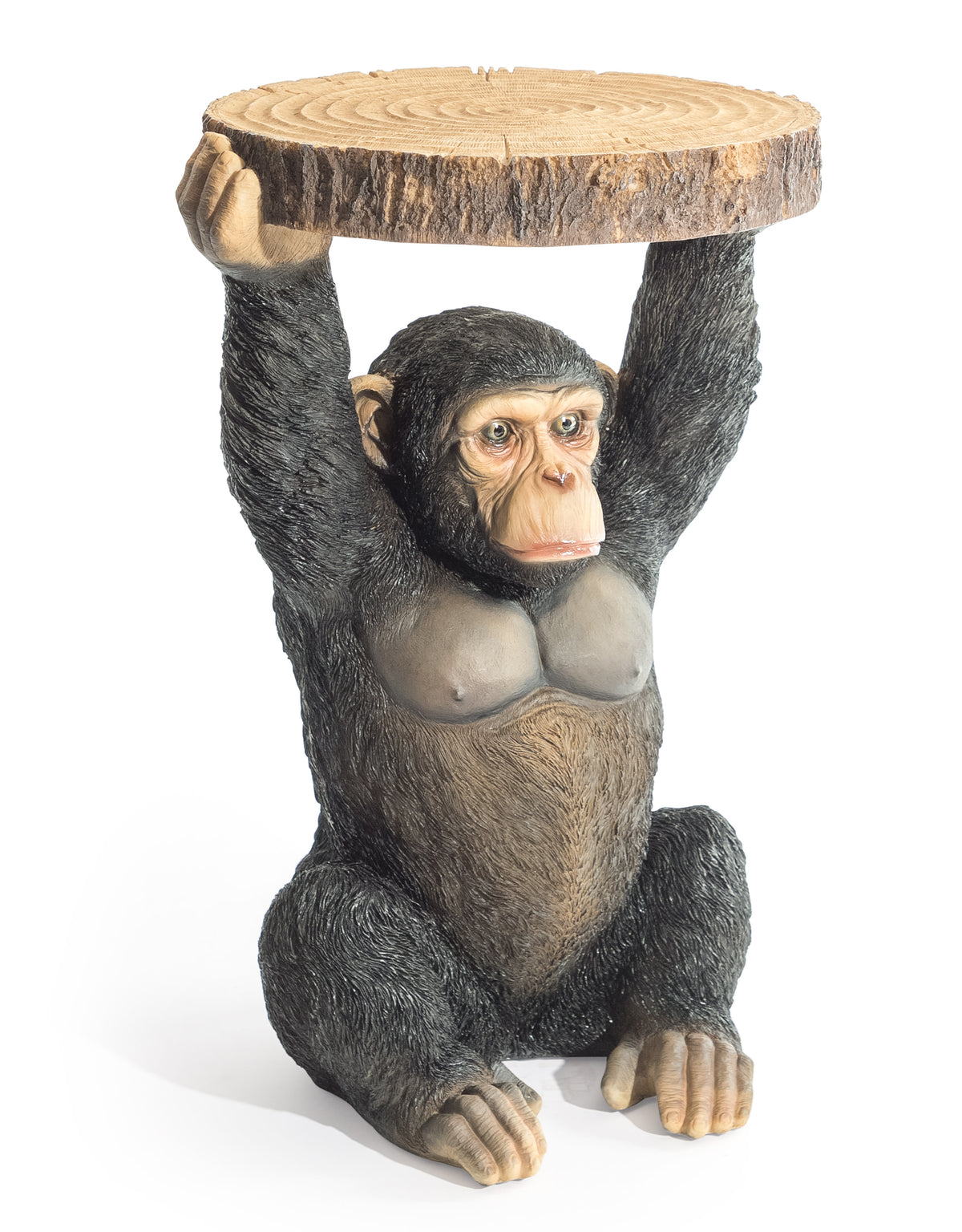 Chimpanzee Holding "Trunk Slice" Side Table - BD173