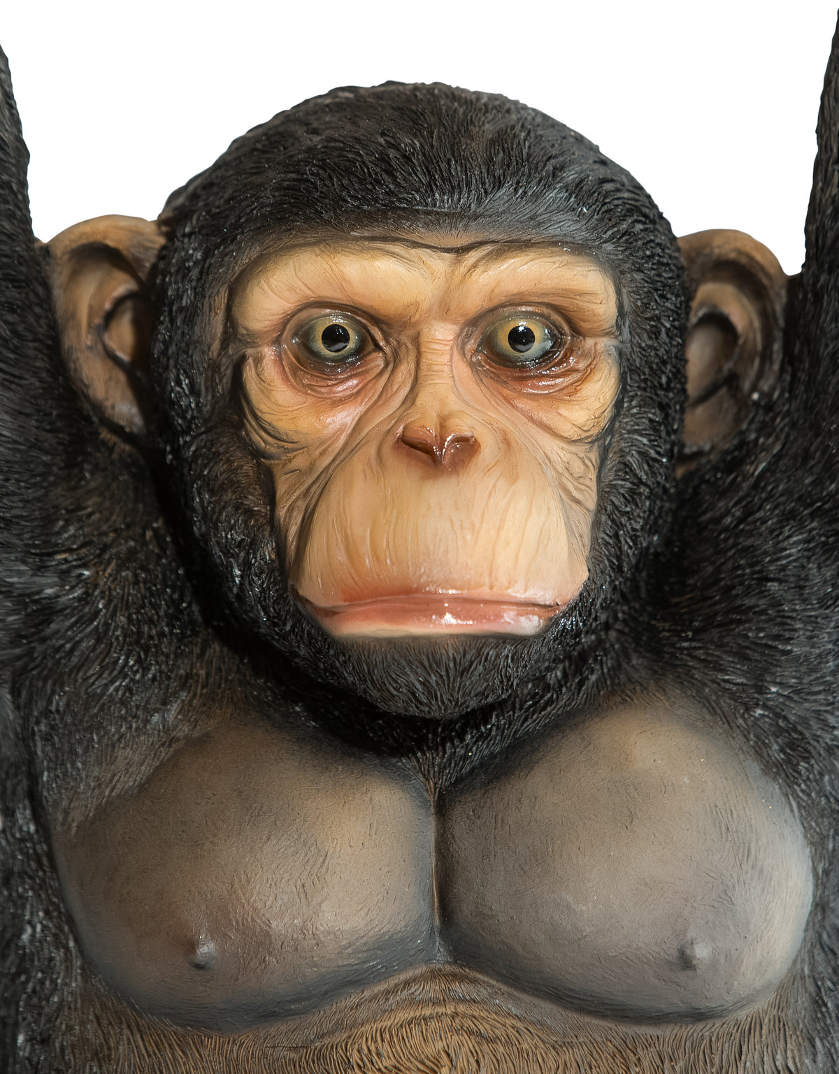 Chimpanzee Holding "Trunk Slice" Side Table - BD173