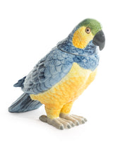 Yellow & Blue Ceramic Parrot Storage Jar/Vase - CRT111