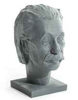 Albert Einstein Head Ornament / Headset Holder (to be bought in qtys of 2) - CRT114