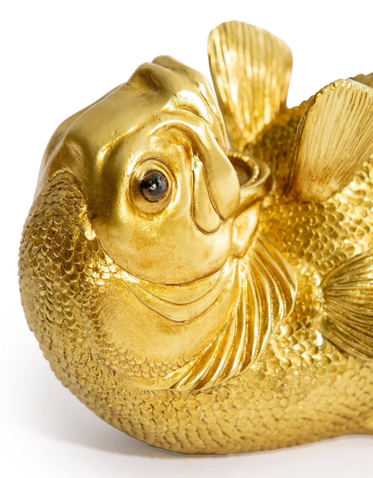 "Drinks Like a Gold Fish" Wine Bottle Holder - BD183