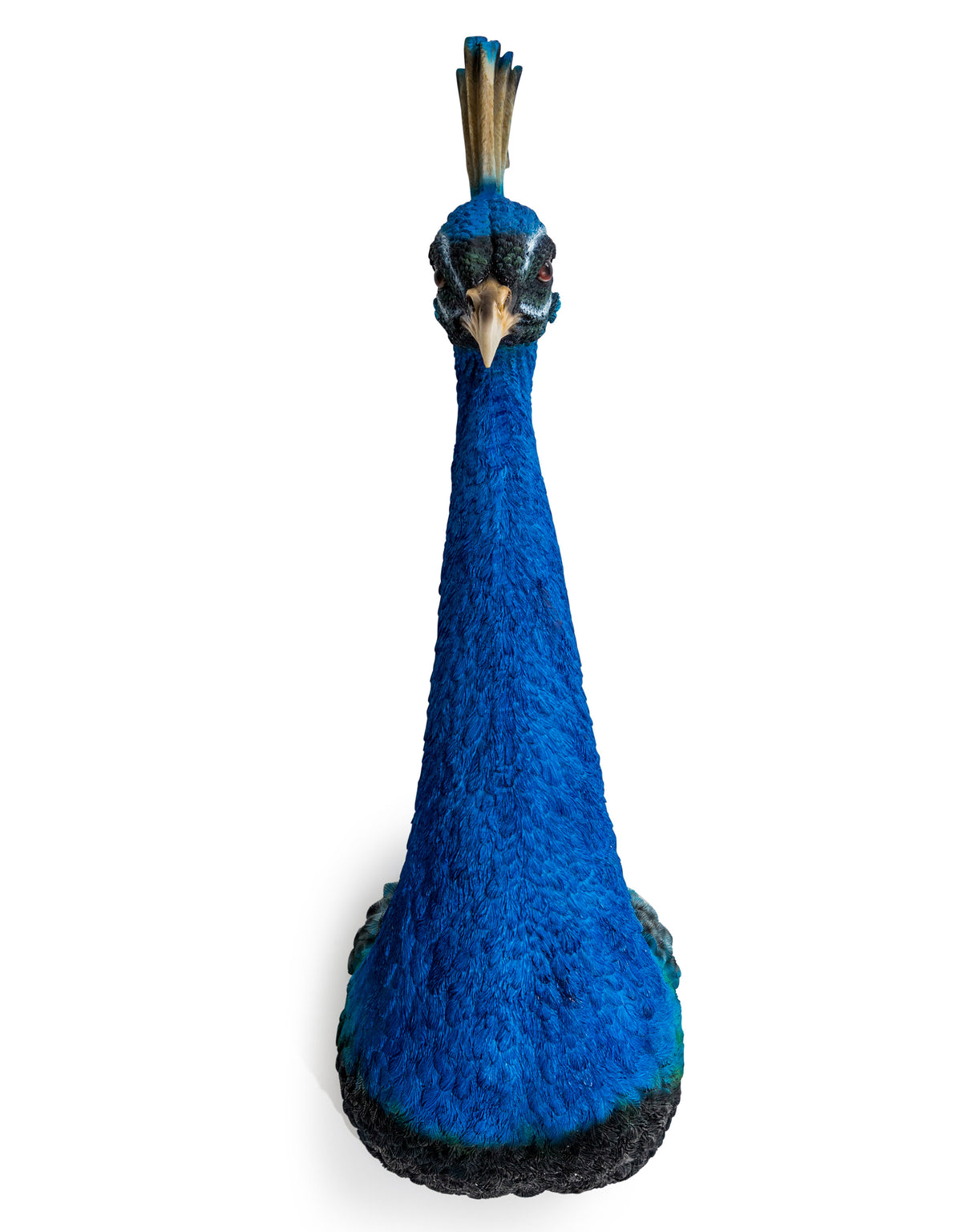 Peacock Head Wall Figure - BD181