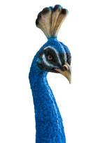 Peacock Head Wall Figure - BD181