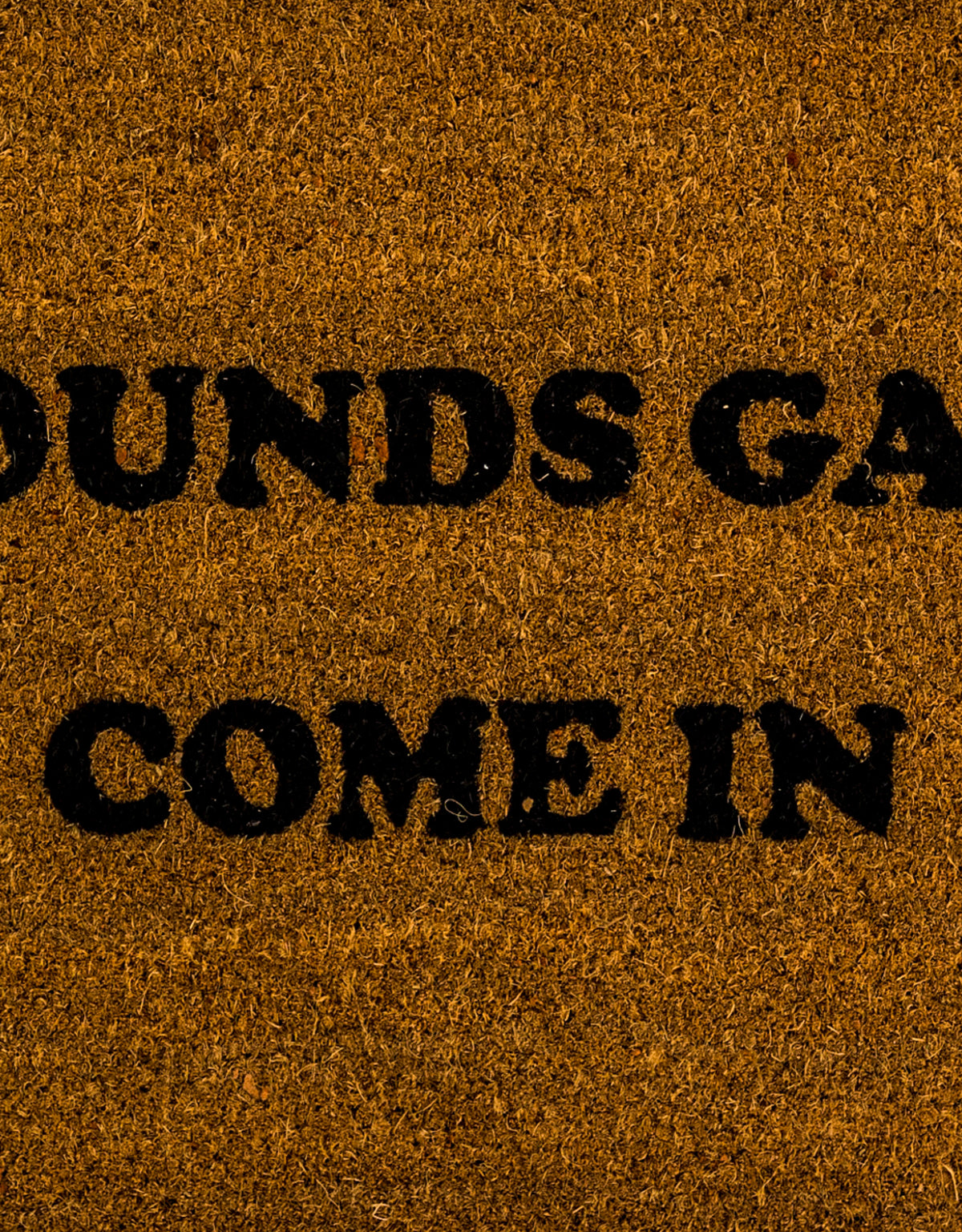 "Sounds Gay, Come In" Doormat - CDM15