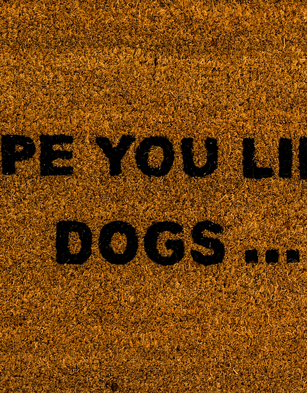 "Hope You Like Dogs" Doormat - CDM23