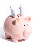 Classic Ceramic Flying Piggy Bank - HDP14