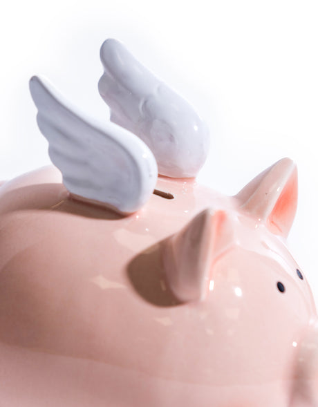 Classic Ceramic Flying Piggy Bank - HDP14