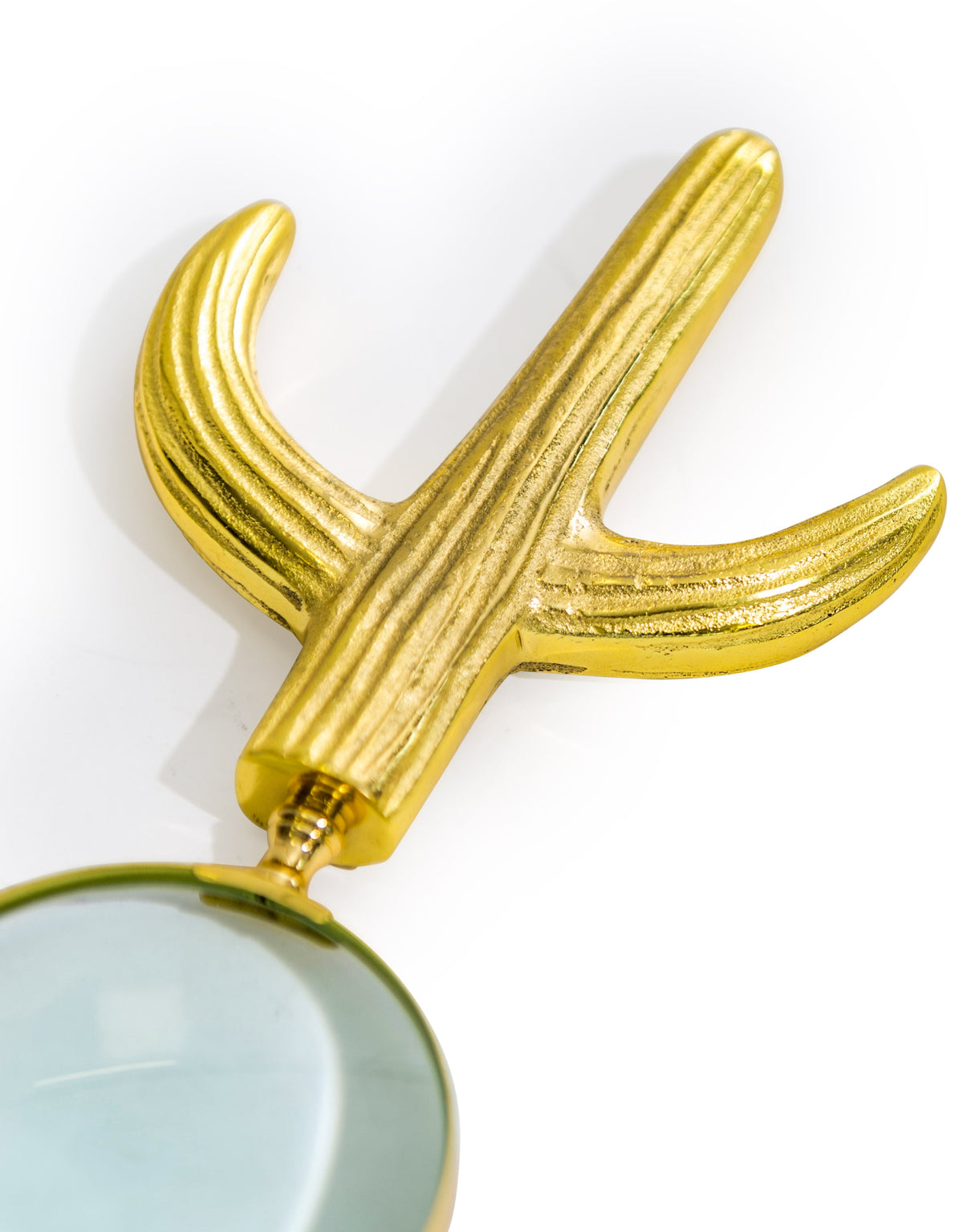 Large Cactus Magnifying Glass - AHL16