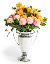 Large Aluminium Polished Trophy Ornament - AHL21